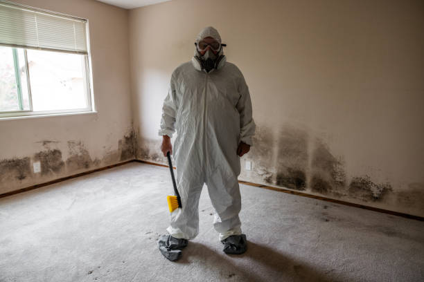 Professional Mold Removal in Stratford, TX